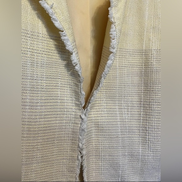 ALFRED DUNNER Women's Jacket Size 10 Yellow Gray Beige Lined Fringe - Picture 3 of 4